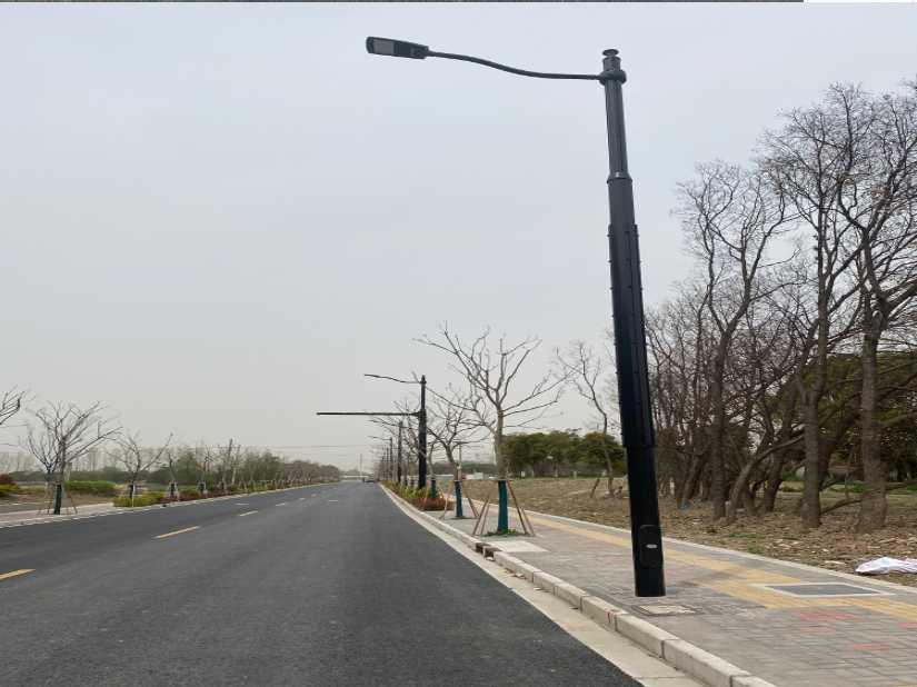 崇仁县上海综合杆 太阳能路灯工程